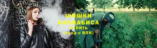 прущие крисы Няндома