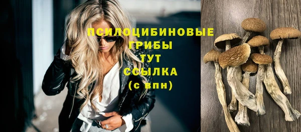 СК Армянск