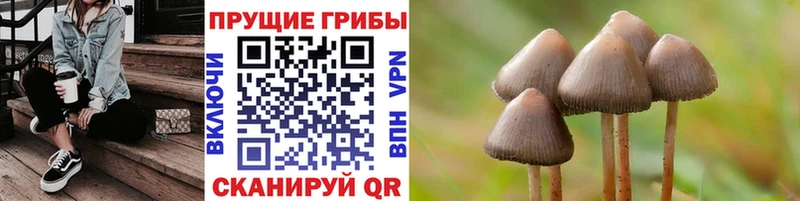 мориарти формула  наркота  Белоярский  Галлюциногенные грибы Psilocybe 
